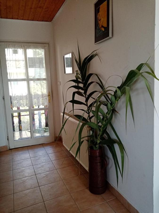 Kekturas-Tora Nyilo Badacsonyi Privat Berlemeny Hotel Badacsonytomaj Exterior photo